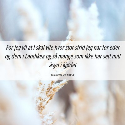 Picture 06 - Kolosserne 2:1 NORSK - For jeg vil at I skal vite hvor stor strid jeg - Bible Verse Picture