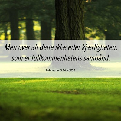 Picture 06 - Kolosserne 3:14 NORSK - Men over alt dette iklæ eder kjærligheten, som - Bible Verse Picture