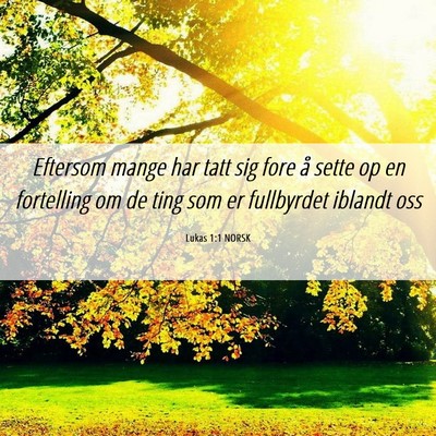 Picture 06 - Lukas 1:1 NORSK - Eftersom mange har tatt sig fore å sette op en - Bible Verse Picture