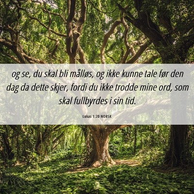 Picture 06 - Lukas 1:20 NORSK - og se, du skal bli målløs, og ikke kunne tale - Bible Verse Picture