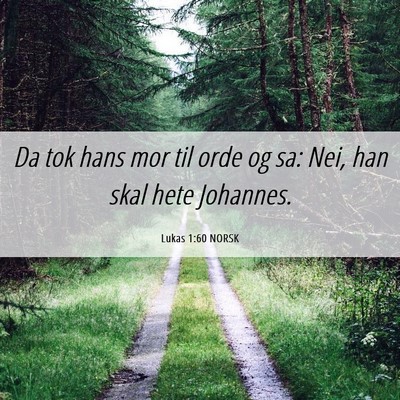 Picture 06 - Lukas 1:60 NORSK - Da tok hans mor til orde og sa: Nei, han skal - Bible Verse Picture