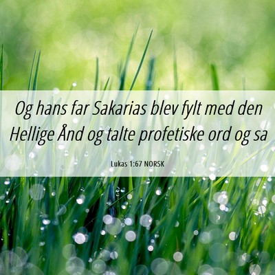 Picture 06 - Lukas 1:67 NORSK - Og hans far Sakarias blev fylt med den Hellige - Bible Verse Picture
