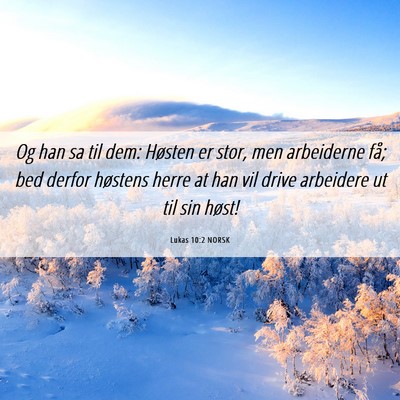 Picture 06 - Lukas 10:2 NORSK - Og han sa til dem: Høsten er stor, men - Bible Verse Picture