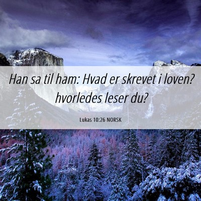 Picture 06 - Lukas 10:26 NORSK - Han sa til ham: Hvad er skrevet i loven? - Bible Verse Picture