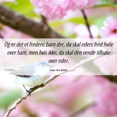 Picture 06 - Lukas 10:6 NORSK - Og er det et fredens barn der, da skal eders fred - Bible Verse Picture