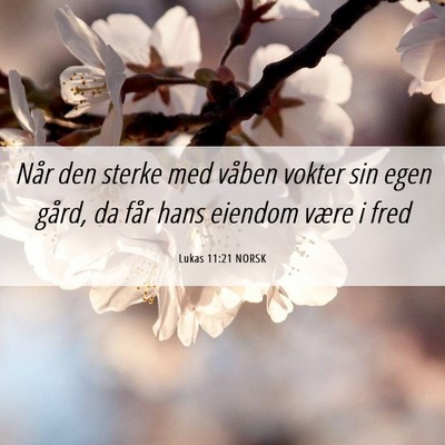 Picture 06 - Lukas 11:21 NORSK - Når den sterke med våben vokter sin egen gård, - Bible Verse Picture
