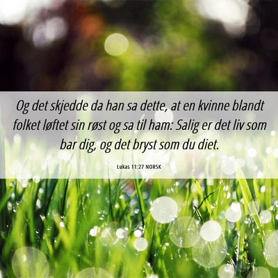 Picture 06 - Lukas 11:27 NORSK - Og det skjedde da han sa dette, at en kvinne - Bible Verse Picture
