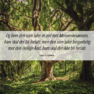 Picture 06 - Lukas 12:10 NORSK - Og hver den som taler et ord mot Menneskesønnen, - Bible Verse Picture