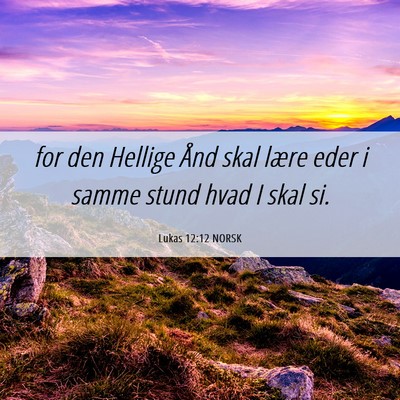 Picture 06 - Lukas 12:12 NORSK - for den Hellige Ånd skal lære eder i samme - Bible Verse Picture