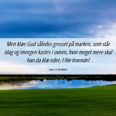 Picture 06 - Lukas 12:28 NORSK - Men klær Gud således gresset på marken, som - Bible Verse Picture