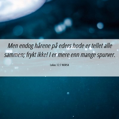 Picture 06 - Lukas 12:7 NORSK - Men endog hårene på eders hode er tellet alle - Bible Verse Picture