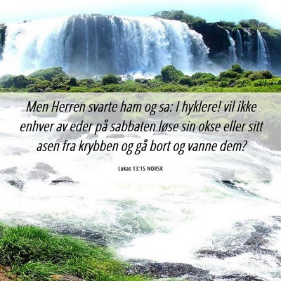 Picture 06 - Lukas 13:15 NORSK - Men Herren svarte ham og sa: I hyklere! vil ikke - Bible Verse Picture