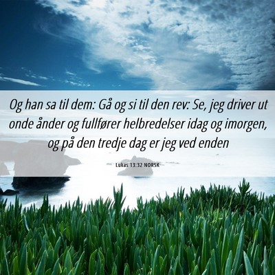 Picture 06 - Lukas 13:32 NORSK - Og han sa til dem: Gå og si til den rev: Se, jeg - Bible Verse Picture