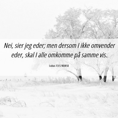 Picture 06 - Lukas 13:5 NORSK - Nei, sier jeg eder; men dersom I ikke omvender - Bible Verse Picture
