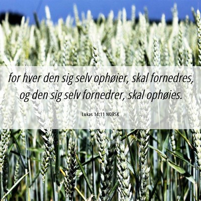 Picture 06 - Lukas 14:11 NORSK - for hver den sig selv ophøier, skal fornedres, - Bible Verse Picture