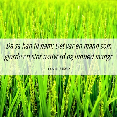 Picture 06 - Lukas 14:16 NORSK - Da sa han til ham: Det var en mann som gjorde en - Bible Verse Picture
