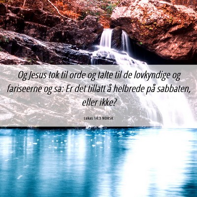 Picture 06 - Lukas 14:3 NORSK - Og Jesus tok til orde og talte til de lovkyndige - Bible Verse Picture