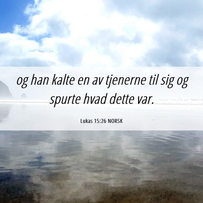 Picture 06 - Lukas 15:26 NORSK - og han kalte en av tjenerne til sig og spurte - Bible Verse Picture