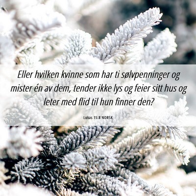 Picture 06 - Lukas 15:8 NORSK - Eller hvilken kvinne som har ti sølvpenninger og - Bible Verse Picture