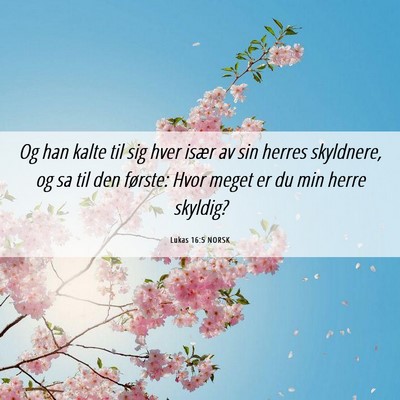 Picture 06 - Lukas 16:5 NORSK - Og han kalte til sig hver især av sin herres - Bible Verse Picture