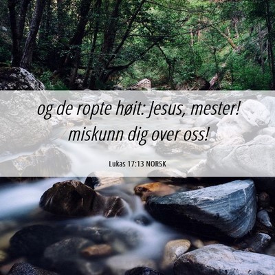 Picture 06 - Lukas 17:13 NORSK - og de ropte høit: Jesus, mester! miskunn dig - Bible Verse Picture