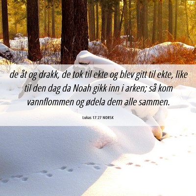 Picture 06 - Lukas 17:27 NORSK - de åt og drakk, de tok til ekte og blev gitt til - Bible Verse Picture