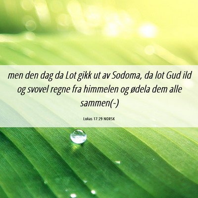Picture 06 - Lukas 17:29 NORSK - men den dag da Lot gikk ut av Sodoma, da lot Gud - Bible Verse Picture