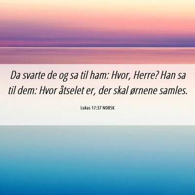 Picture 06 - Lukas 17:37 NORSK - Da svarte de og sa til ham: Hvor, Herre? Han sa - Bible Verse Picture
