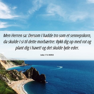 Picture 06 - Lukas 17:6 NORSK - Men Herren sa: Dersom I hadde tro som et - Bible Verse Picture
