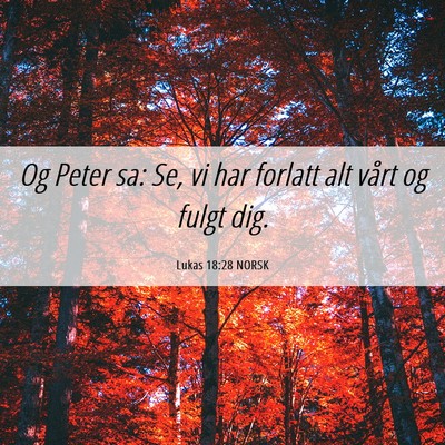 Picture 06 - Lukas 18:28 NORSK - Og Peter sa: Se, vi har forlatt alt vårt og - Bible Verse Picture