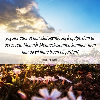 Picture 06 - Lukas 18:8 NORSK - Jeg sier eder at han skal skynde sig å hjelpe - Bible Verse Picture