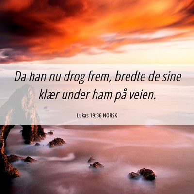 Picture 06 - Lukas 19:36 NORSK - Da han nu drog frem, bredte de sine klær under - Bible Verse Picture