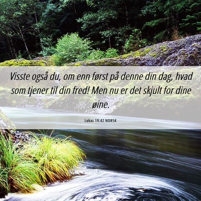 Picture 06 - Lukas 19:42 NORSK - Visste også du, om enn først på denne din dag, - Bible Verse Picture