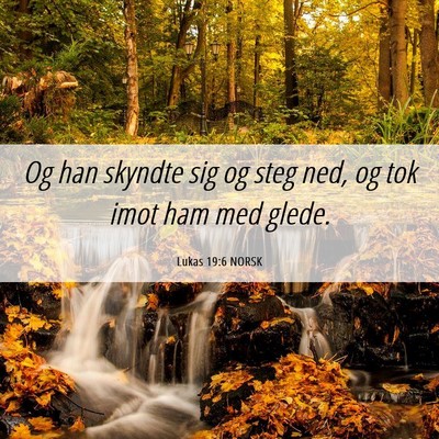 Picture 06 - Lukas 19:6 NORSK - Og han skyndte sig og steg ned, og tok imot ham - Bible Verse Picture