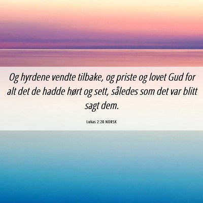 Picture 06 - Lukas 2:20 NORSK - Og hyrdene vendte tilbake, og priste og lovet Gud - Bible Verse Picture