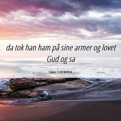 Picture 06 - Lukas 2:28 NORSK - da tok han ham på sine armer og lovet Gud og - Bible Verse Picture