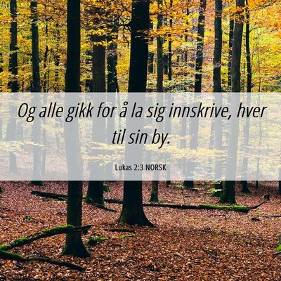 Picture 06 - Lukas 2:3 NORSK - Og alle gikk for å la sig innskrive, hver til - Bible Verse Picture