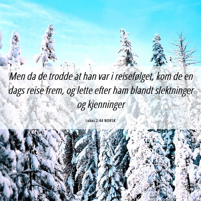 Picture 06 - Lukas 2:44 NORSK - Men da de trodde at han var i reisefølget, kom - Bible Verse Picture