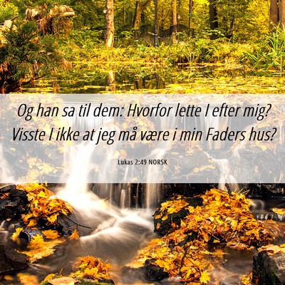 Picture 06 - Lukas 2:49 NORSK - Og han sa til dem: Hvorfor lette I efter mig? - Bible Verse Picture