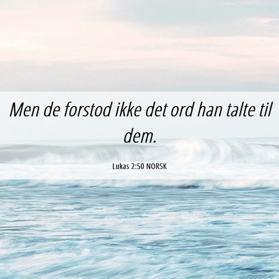 Picture 06 - Lukas 2:50 NORSK - Men de forstod ikke det ord han talte til - Bible Verse Picture