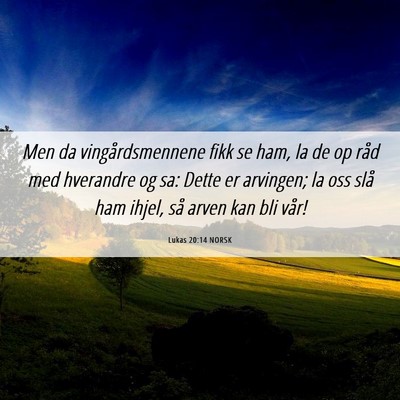 Picture 06 - Lukas 20:14 NORSK - Men da vingårdsmennene fikk se ham, la de op - Bible Verse Picture