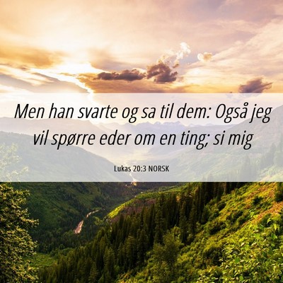Picture 06 - Lukas 20:3 NORSK - Men han svarte og sa til dem: Også jeg vil - Bible Verse Picture
