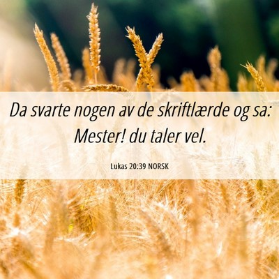 Picture 06 - Lukas 20:39 NORSK - Da svarte nogen av de skriftlærde og sa: Mester! - Bible Verse Picture