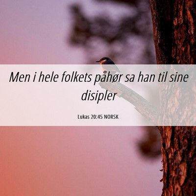 Picture 06 - Lukas 20:45 NORSK - Men i hele folkets påhør sa han til sine - Bible Verse Picture