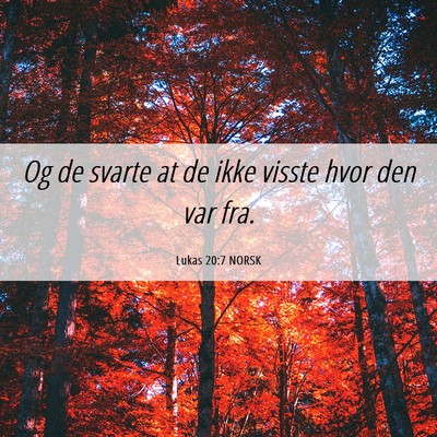 Picture 06 - Lukas 20:7 NORSK - Og de svarte at de ikke visste hvor den var - Bible Verse Picture
