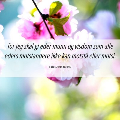Picture 06 - Lukas 21:15 NORSK - for jeg skal gi eder munn og visdom som alle - Bible Verse Picture