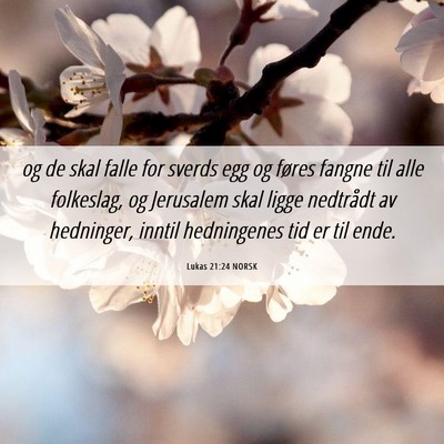 Picture 06 - Lukas 21:24 NORSK - og de skal falle for sverds egg og føres fangne - Bible Verse Picture