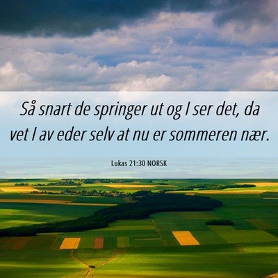 Picture 06 - Lukas 21:30 NORSK - Så snart de springer ut og I ser det, da vet I - Bible Verse Picture