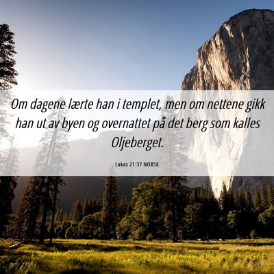 Picture 06 - Lukas 21:37 NORSK - Om dagene lærte han i templet, men om nettene - Bible Verse Picture