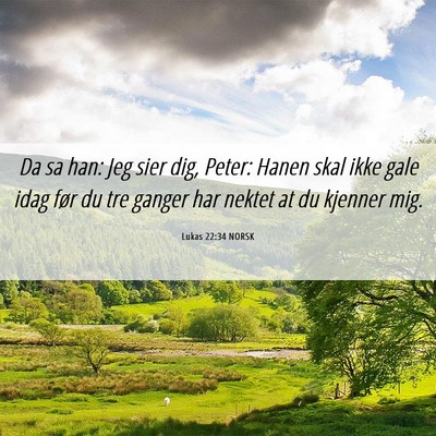 Picture 06 - Lukas 22:34 NORSK - Da sa han: Jeg sier dig, Peter: Hanen skal ikke - Bible Verse Picture
